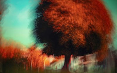 Why We Publish Character-Driven Fiction (And Why Readers Love It)